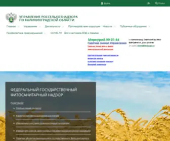 RSN-KLD.ru(Управление Россельхознадзора по Калининградской области) Screenshot