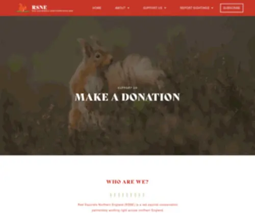 Rsne.org.uk(Red Squirrels Northern England) Screenshot