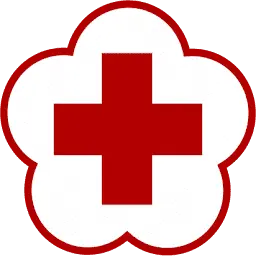 RSpmibogor.or.id Favicon