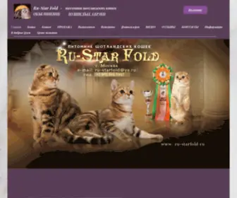 RU-Starfold.ru(Ru-Star Fold) Screenshot