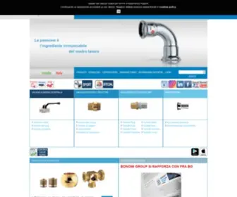 Rubinetteriebresciane.it(Valvole acqua e gas) Screenshot