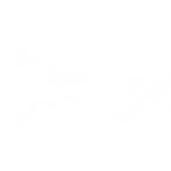 Rubinpool.se Logo