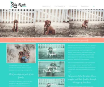 Rubyranchut.com(Ruby Red Labs and Doodles) Screenshot