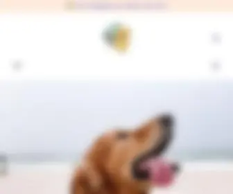 Ruffnfluff.com(Pet Apparel) Screenshot