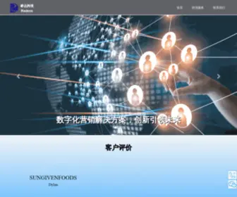 Ruidakol.com(睿达跨境) Screenshot