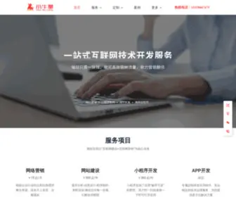 Ruiei.com(APP开发公司) Screenshot