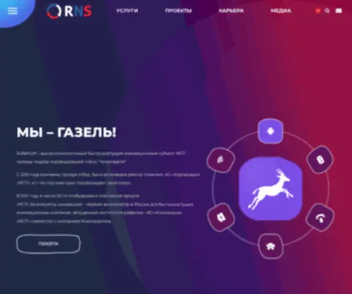 Runetsoft.ru(Разработка ПО (программного обеспечения) на заказ) Screenshot