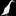 Runnerduck.com Favicon