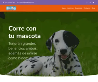 Runsanddogs.com(Runs & Dogs) Screenshot