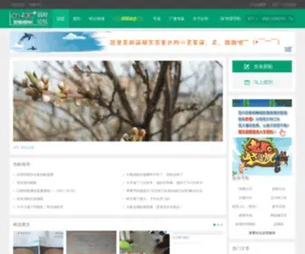 Ruoshi.com(以明斜弱视网) Screenshot