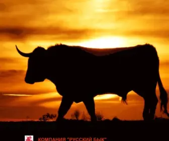 Rusbull.com(Компания "РУССКИЙ БЫК") Screenshot