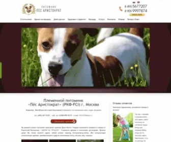 Rusdog.org(Купить щенка джек рассел терьера в Москве) Screenshot