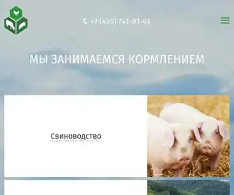 Rusfeed.ru(Русфид) Screenshot