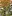 Rusticriders.net Favicon