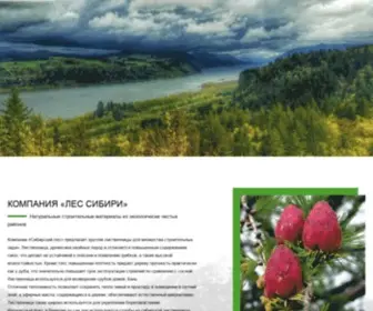 Rusvodoem.ru(Срок) Screenshot