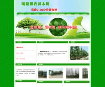 RXYX8.com(瑞新银杏苗木网) Screenshot