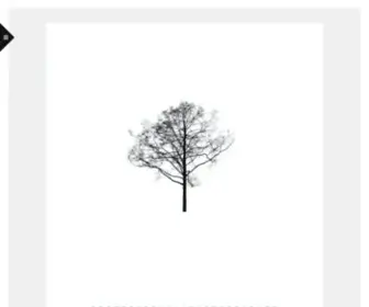 RyanjBolger.com(Photographer) Screenshot