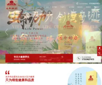 Rzsanjin.com(生命动力) Screenshot