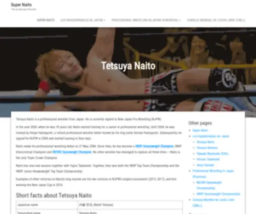 S-Naito.com(Tetsuya Naito) Screenshot