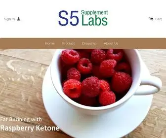S5Labs.com(s5labs) Screenshot