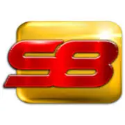 S8998.net Logo