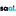 Saal.ai Favicon