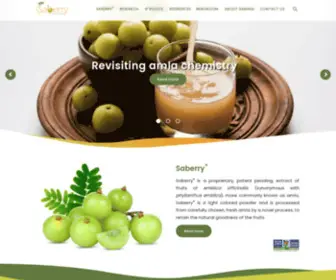 Saberry.com(Saberry®) Screenshot