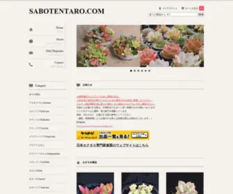 Sabotentaro.com(SABOTENTARO) Screenshot