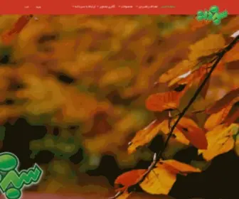 Sabzdaneh.com(شرکت) Screenshot