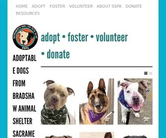 Saccountydogs.com(Sacramento Shelter Pets Alive) Screenshot