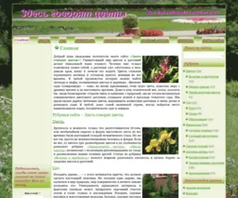 Sadowody.ru(Лучшие советы садоводам) Screenshot
