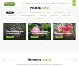 Sadproekt.ru(Садоводство и цветоводство в России) Screenshot