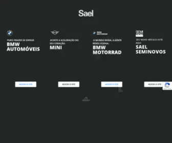 Sael.com.br(As Melhores Marcas Estão Aqui) Screenshot