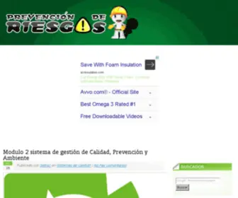 Safetychile.com(Seguridad laboral) Screenshot