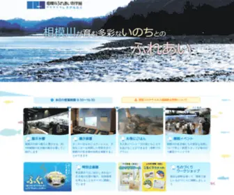 Sagamigawa-Fureai.com(トップページ) Screenshot