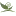 Sagemedia.ca Favicon