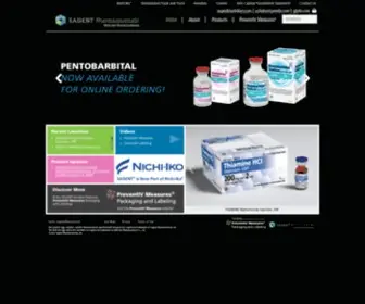 Sagentpharma.com(Sagent Pharmaceuticals) Screenshot