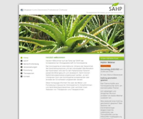 Sahp.ch(SAHP ) Screenshot