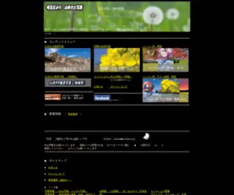 Sai59.net(Sai 59) Screenshot