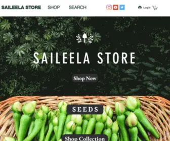 Saileelastore.com(Saileela Store) Screenshot