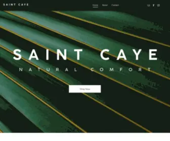 Saintcaye.com(Saintcaye) Screenshot