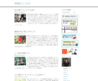 Saitodev.co(大阪の高槻でフリーのプログラマをしている齋藤毅) Screenshot