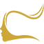 Sajeeka.ch Favicon
