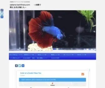 Sakana-Tachihara.com(AQUASHOP ARRANGE（アクアショップ アレンジ）) Screenshot
