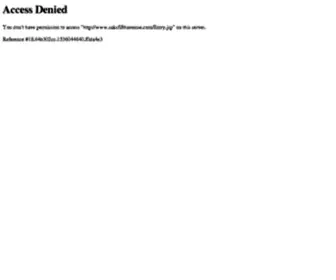 Saks.com(Designer Women's Apparel) Screenshot