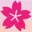 Sakura2009.net Favicon