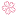 SakurajLC.com Favicon
