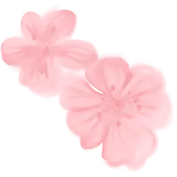 Sakura.vin Favicon