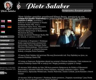 Salaber.com.pl(Piotr Salaber) Screenshot