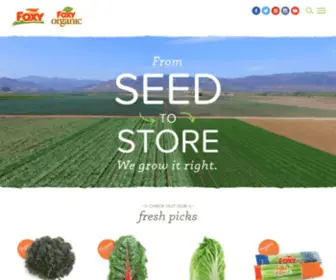 Salads.com(Foxy Fresh Produce) Screenshot